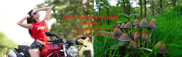 MDMA Premium VHQ Алексин