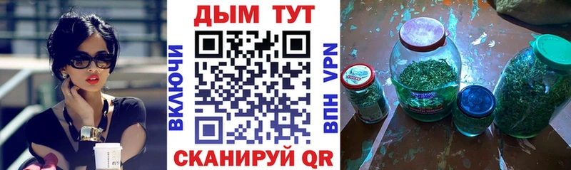 цена   Шацк  Бошки марихуана ГИДРОПОН 